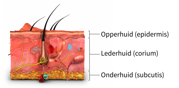 Het belang van basische lichaamsverzorging - Basische huidverzorging